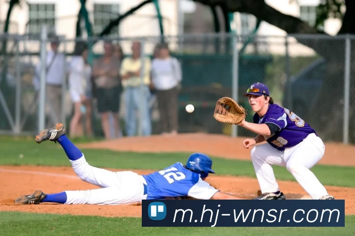 威尼斯人娱乐网站平台生态图