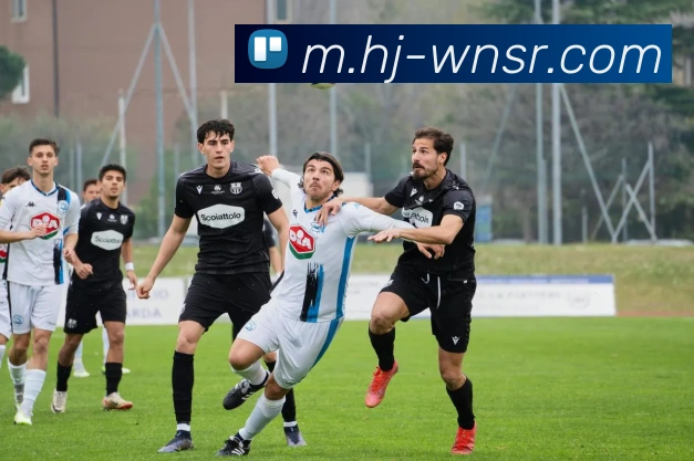 辅助工具 辅助工具